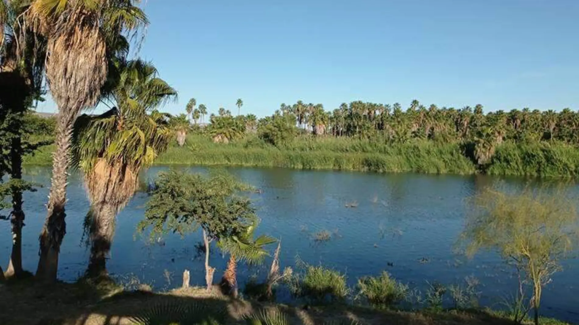 Carrera Ecologica Estero Josefino